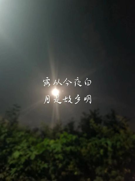 露从今夜白，月是故乡明：探索自然与乡愁的交融