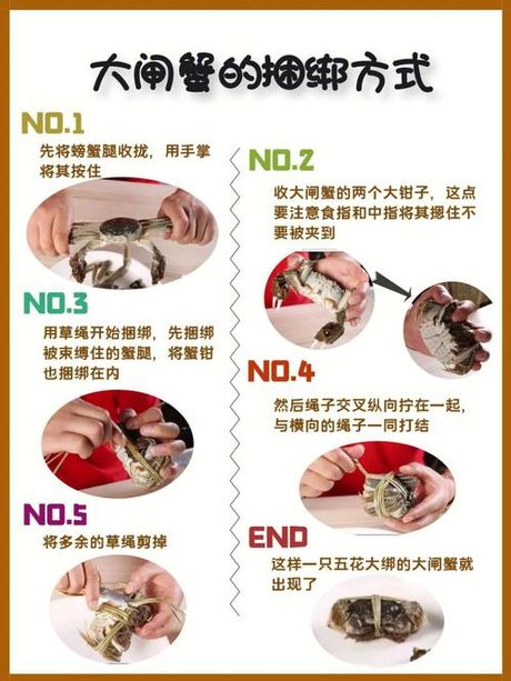 如何绑螃蟹：安全与技巧并重