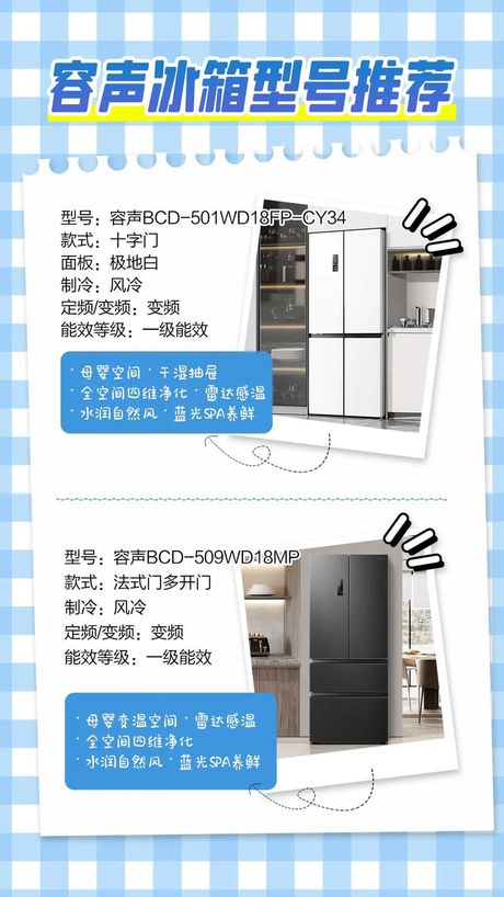 容声冰箱：质量与性能的探索