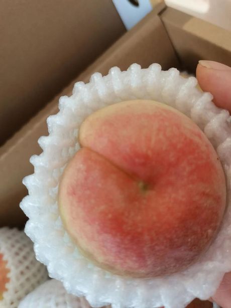 孕妇可以吃桃子吗？