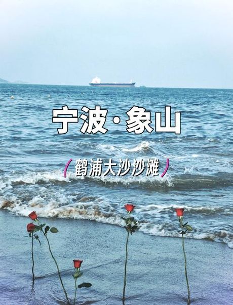 宁波的海边沙滩：探索东海岸的瑰宝