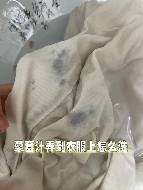 桑椹汁弄衣服上怎么办？