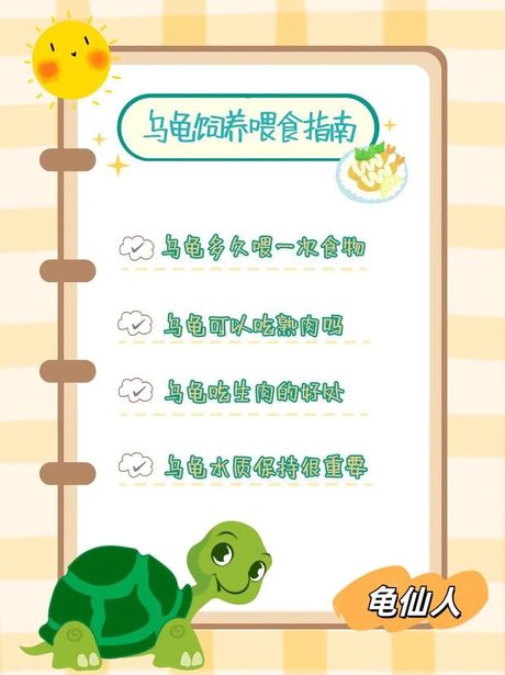 乌龟的饮食文化