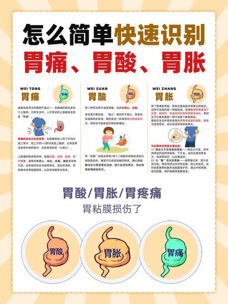 胃胀怎么办？了解成因与缓解方法