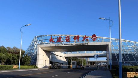 大连医科大学：东北地区的医学教育重镇