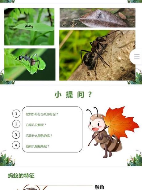 蚂蚁为什么要搬家