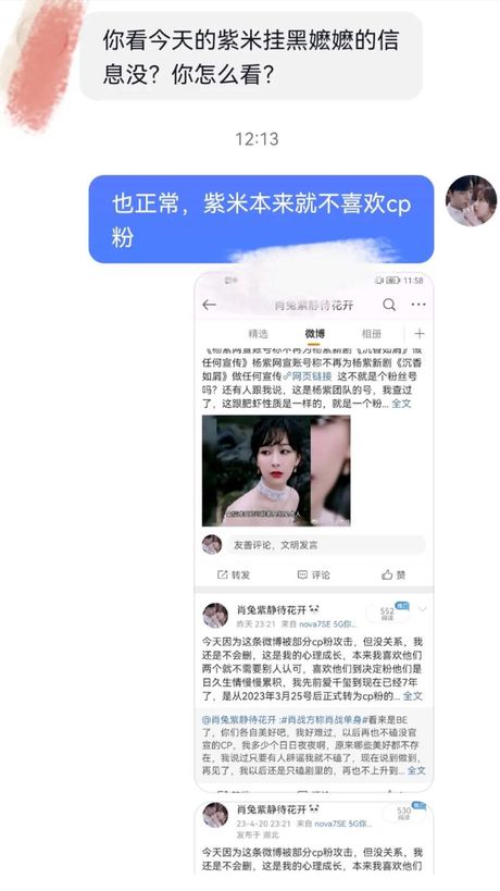 CP粉：流行文化中的特殊粉丝群体