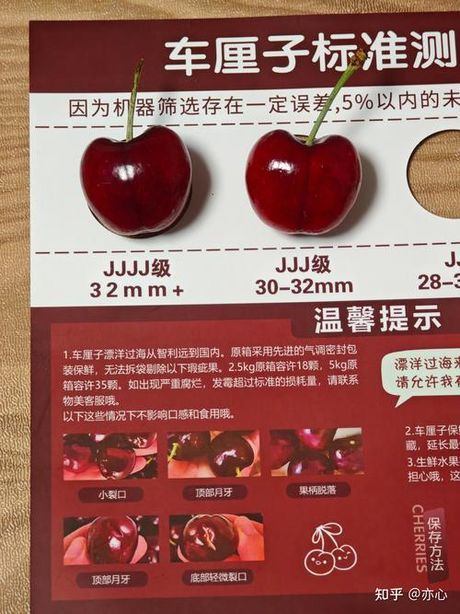 车厘子为什么那么贵