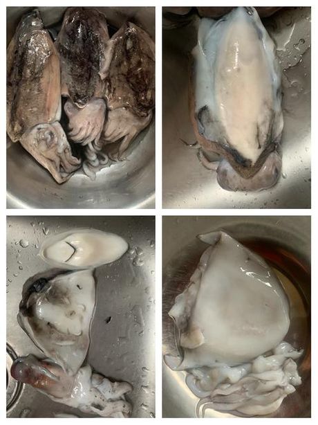 墨鱼清洗全攻略：从挑选到处理