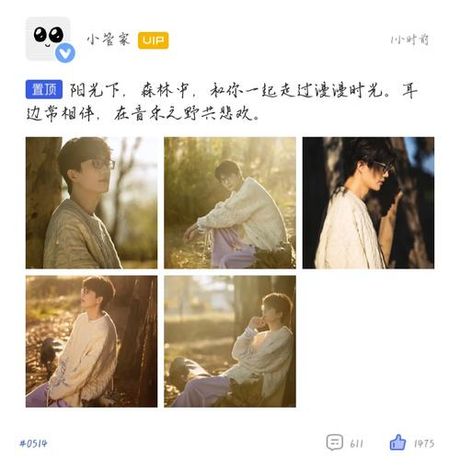 vae是什么意思，VAE是什么意思