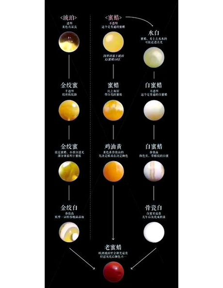 蜜蜡的形成：自然界的神奇之作