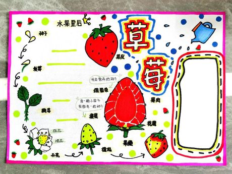 草莓清洗指南：确保美味与安全的秘诀