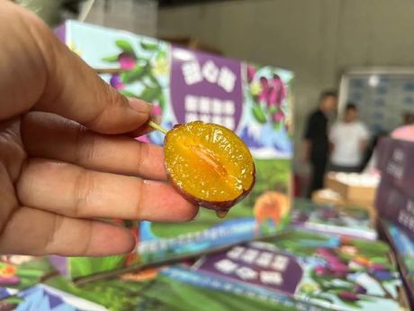 新鲜西梅的价格与市场趋势
