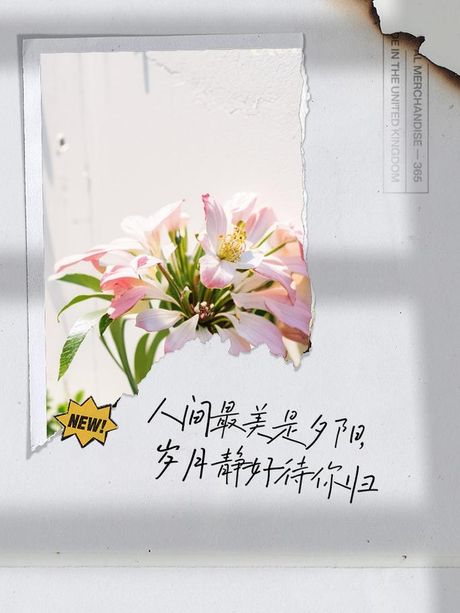 岁月静好：含义与起源