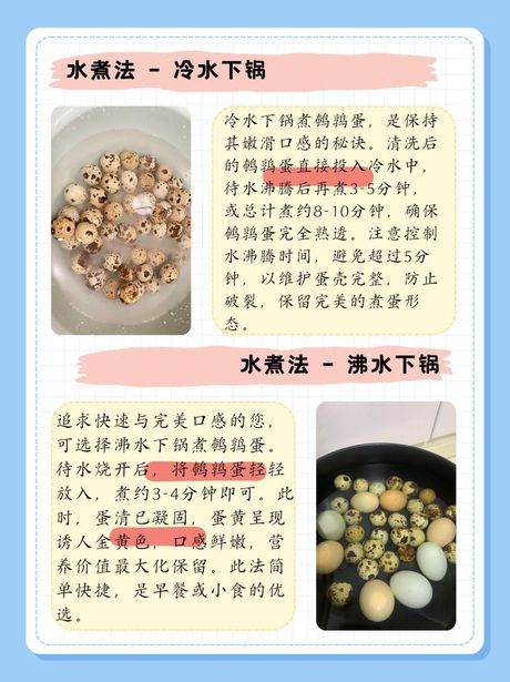 鹌鹑蛋要煮多久，鹌鹑蛋要煮多久才会熟？