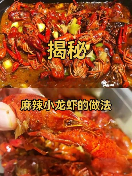 龙虾要煮多久：揭秘烹饪时间的科学