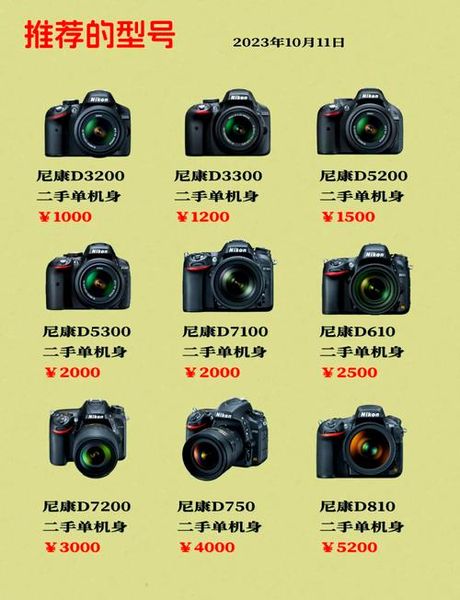 尼康D1000：一款入门级单反相机的详细介绍