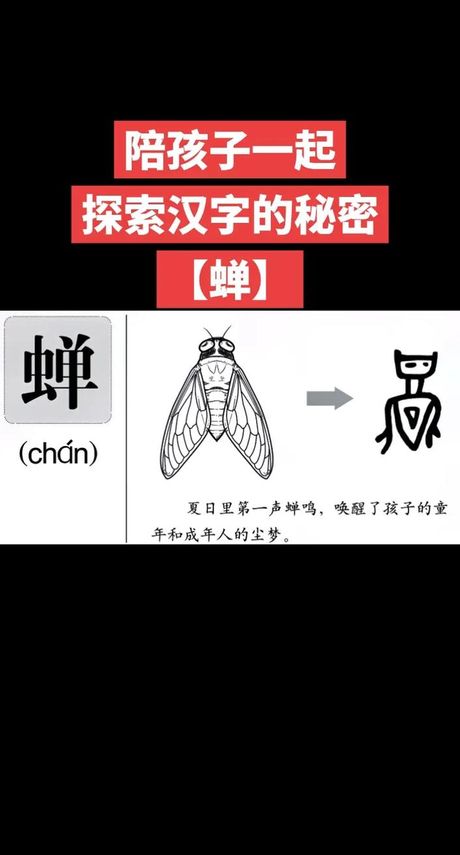 科普：汉字“婵”的读音与意义