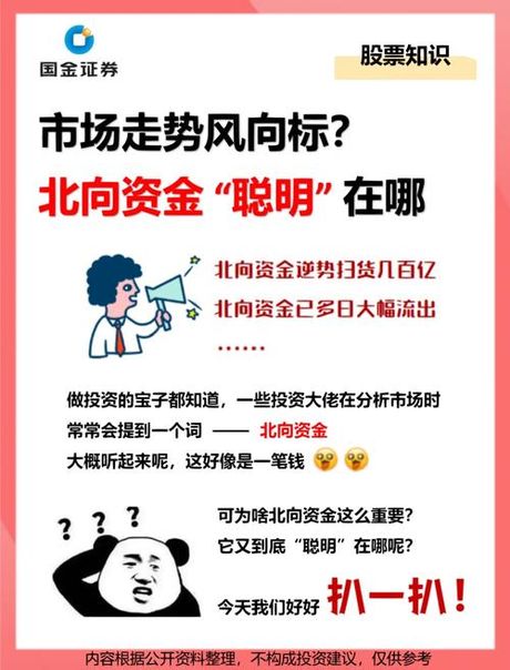 主力净流入：股市中的资金风向标