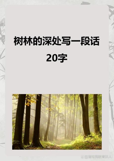 探索“侔”字的奥秘：怎么读？