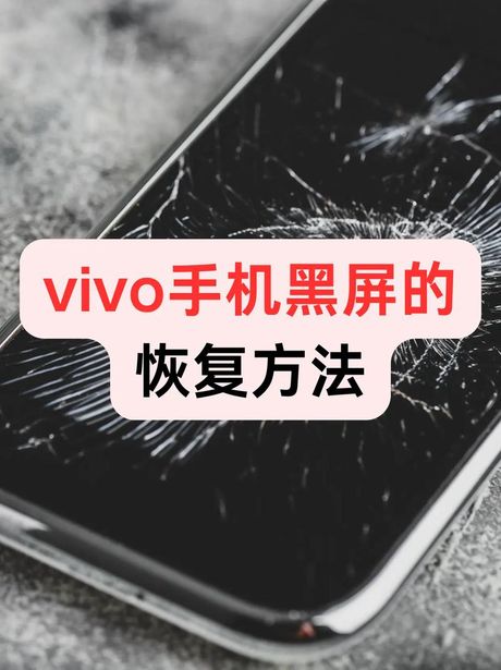 手机黑屏怎么办 vivo，vivo手机黑屏全面解决方案百科