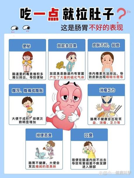 吃完饭就拉肚子是怎么回事？