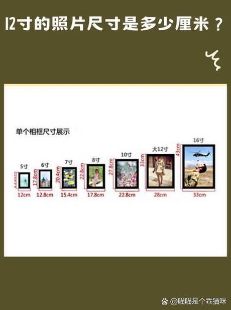 12英寸是多少厘米？