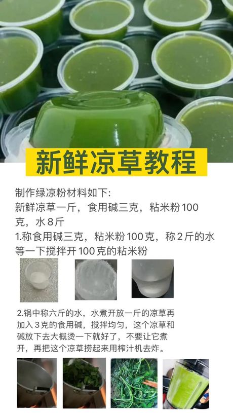凉粉草与凉粉的制作工艺