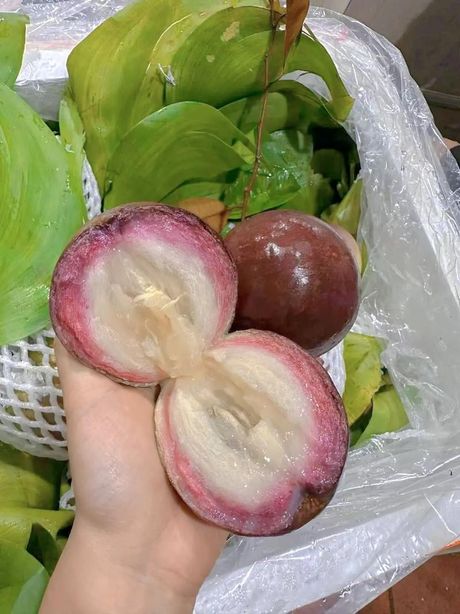 牛奶果的食用方式及营养功效