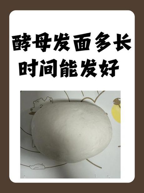 酵母发面9个小时可以吗