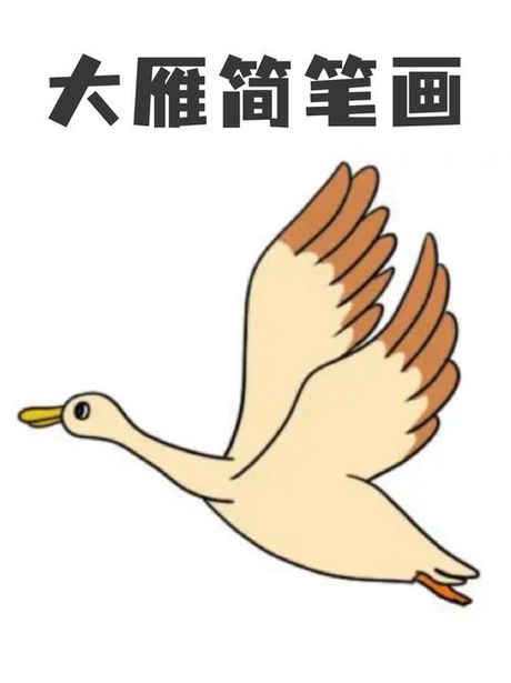 大雁简笔画教程：一笔一画，轻松学会