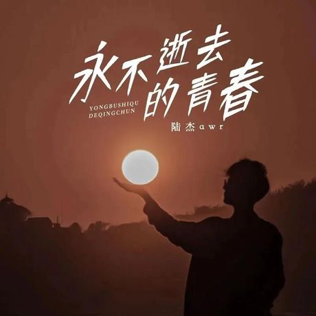 芳华已逝：时间的流逝与青春的消逝