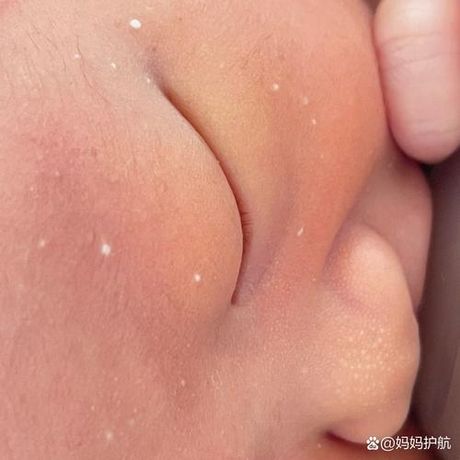 什么是“小白脸”？
