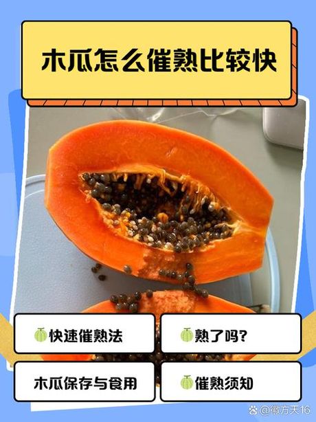 青木瓜怎么催熟，青木瓜催熟方法百科