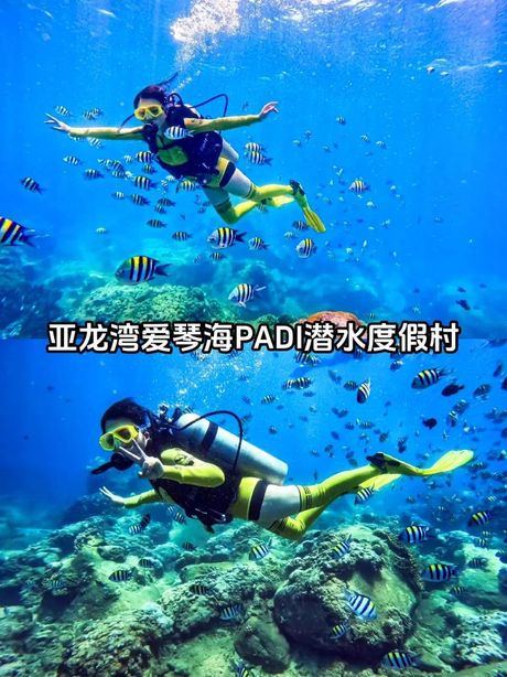 探索三亚潜水之旅：费用与体验