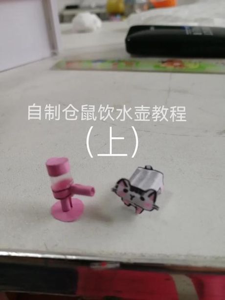 仓鼠喝水器怎么做，制作仓鼠喝水器