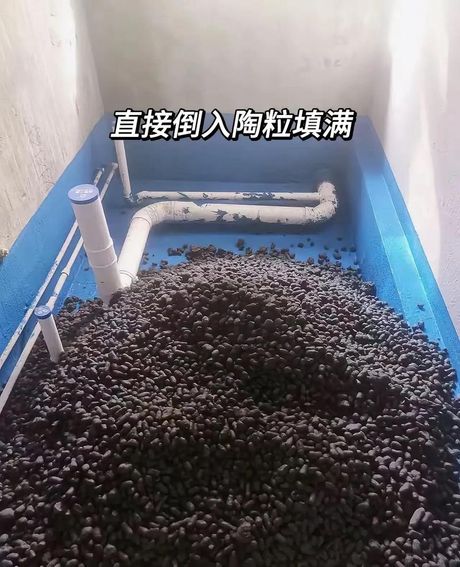 卫生间陶粒回填多少钱，卫生间陶粒回填价格百科