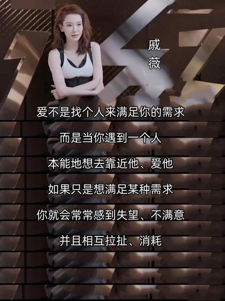 爱了爱了：流行语背后的情感表达