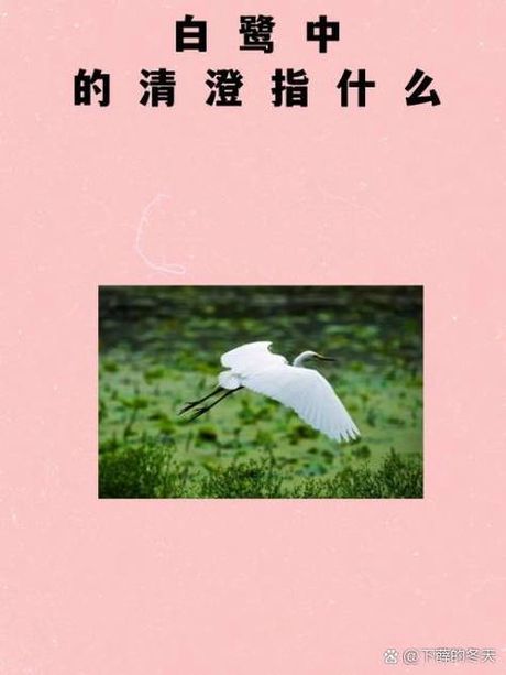 澄：清澈透明之意