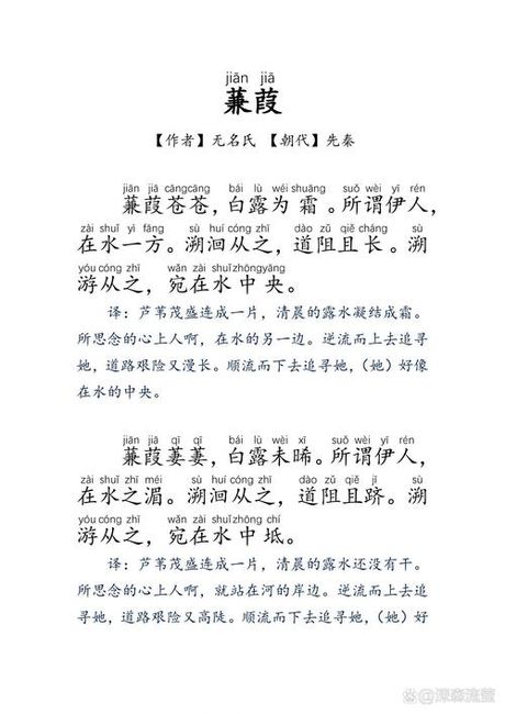 蒹葭是什么意思