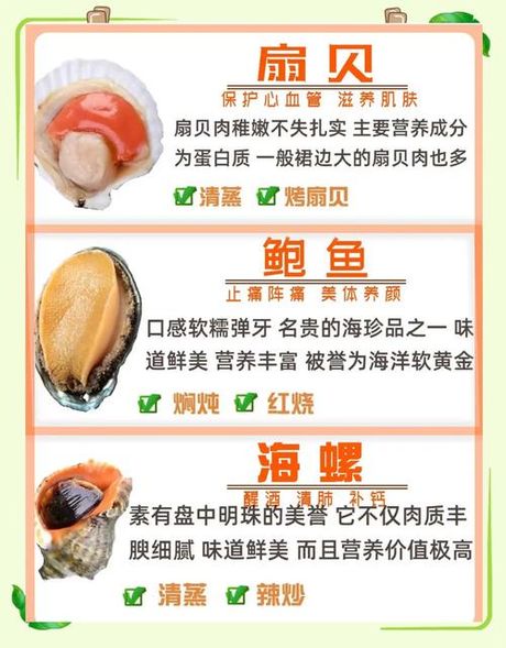 贝类海鲜怎么做，贝类海鲜烹饪指南