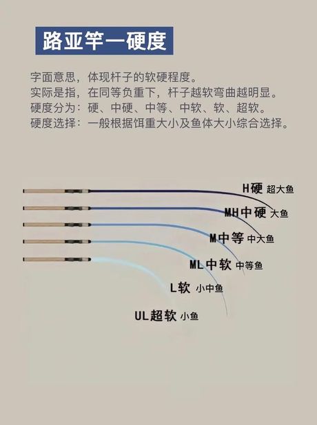 路亚竿的使用方法