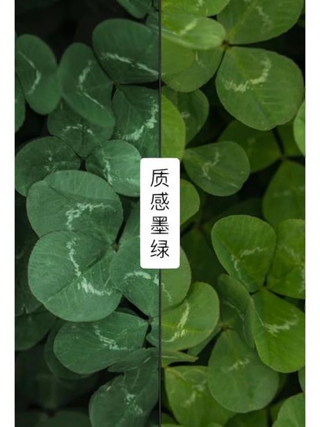 墨绿色怎么调出来，如何调出来墨绿色