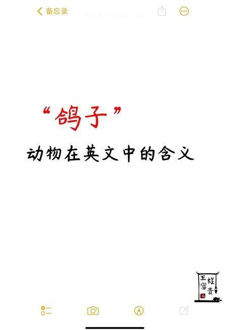 鸽的读音与含义