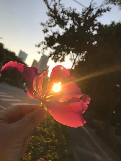 可遇而不可求：机遇与追求的微妙平衡