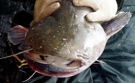 男明星,2024年,中国娱乐圈中的男明星风采