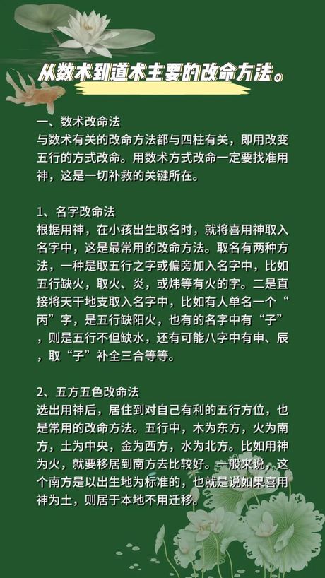 绝招的奥秘