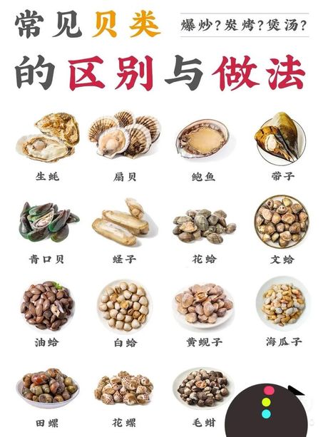 贝壳怎么吃