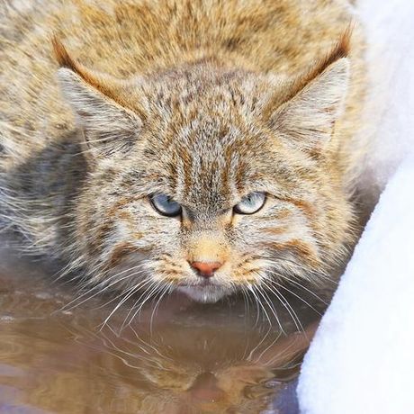 错位关系:东哥笔下的校园故事