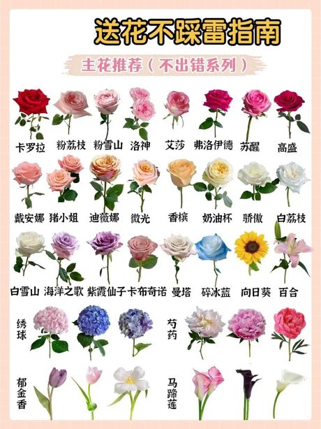 第一次送女生花多少朵：花语与数字的含义